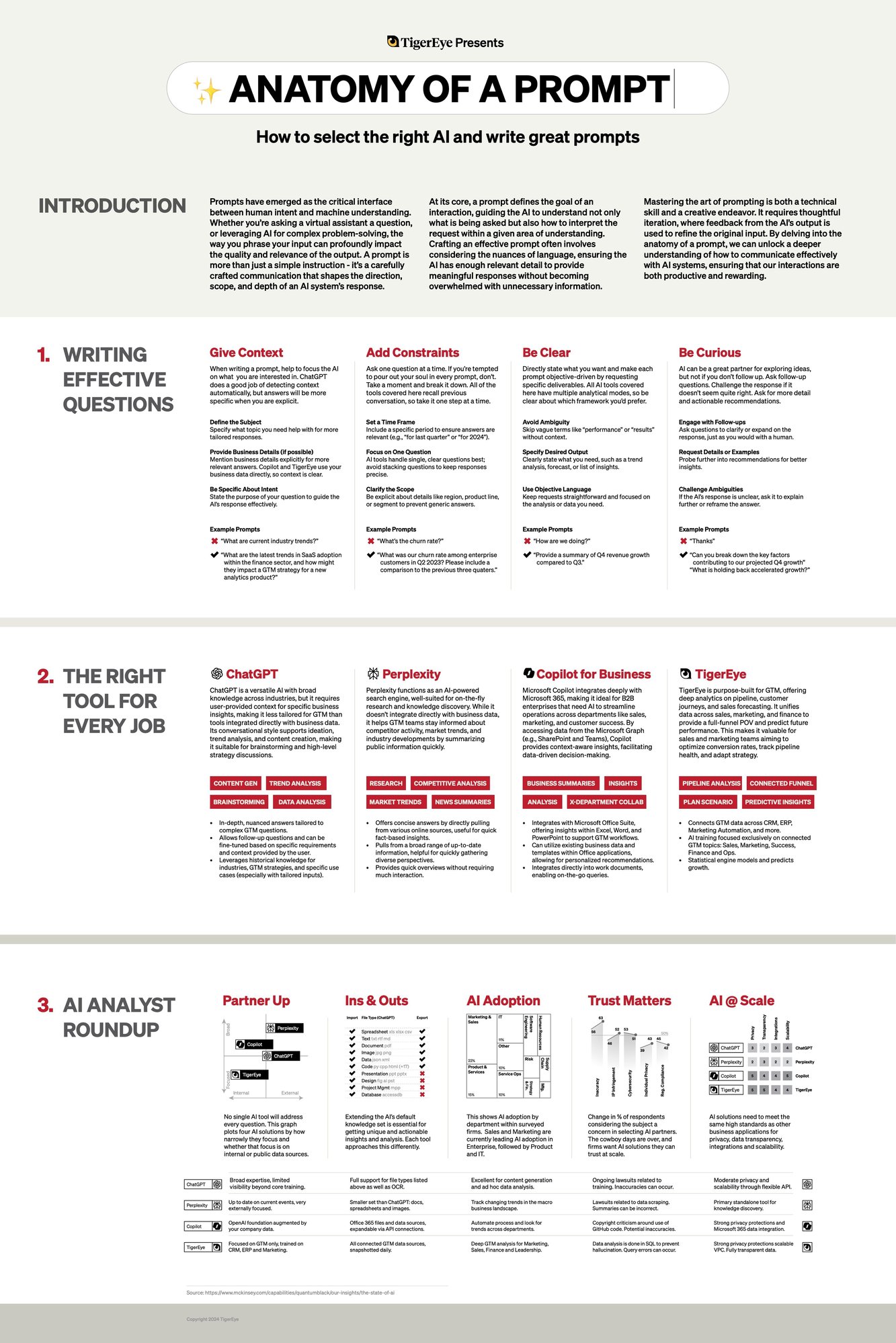 TigerEye_Anatomy_Of_A_Prompt-Infographic